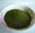 Organic wheatgrass juice green powder