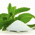 Stevia leaf extract(stevioside)