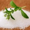 Organic Stevia extract powder 