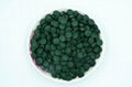 Wholesale Private Label Spirulina Extract Protein Spirulina Tablet