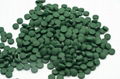 Supply With Best Price Production Of Spirulina Organic Spirulina Tablets