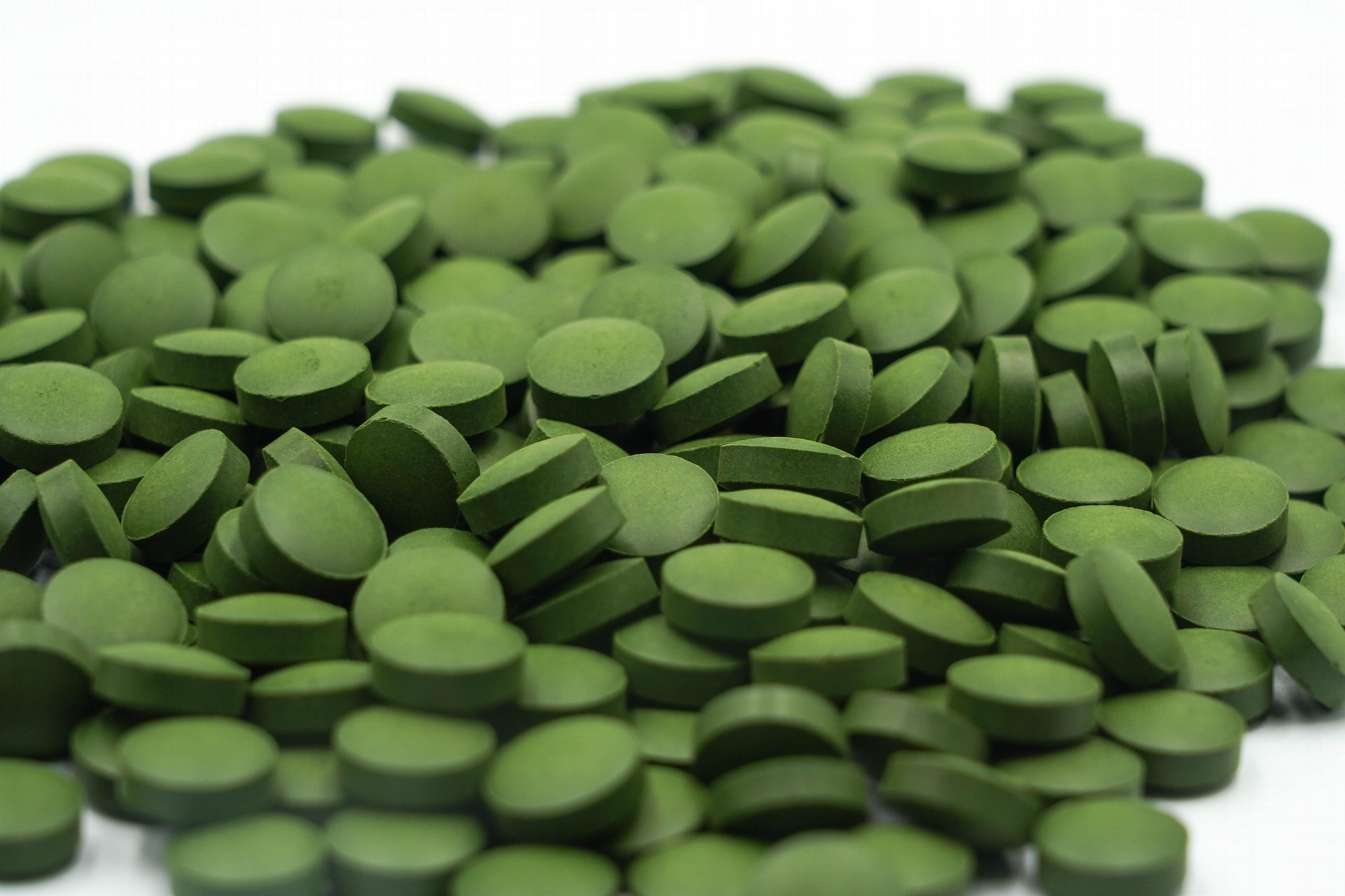 常规小球藻片 - 山东省 - 贸易商 - 供应产品