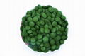 Ordinary Chlorella tablet