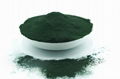 Algae spirulina powder in bulk