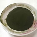 wholesale organic chlorella powder/tablet