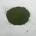 wholesale organic chlorella powder/tablet