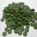 wholesale organic chlorella powder/tablet