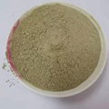 2020 seaweed Kelp powder laminaria powder 