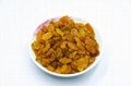 2020 best quality dried golden raisins