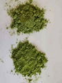 Private Label Matcha Green Tea Matcha Green Tea Powder Matcha Tea