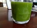 Green Tea Matcha Wholesale Matcha Tea Whisk Matcha Tea