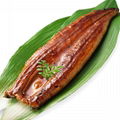 Hot sale seafood wholesale delicious frozen roasted eel quality frozen roasted e