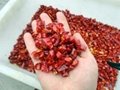 New Crop Wholesale Dried Red Chili Ring