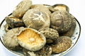 Shiitake Mushroom Bulk Dried Shiitake Mushrooms