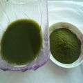 Young Wheat Grass Powder Wheatgrass Extract Organic Wheat Grass Powder