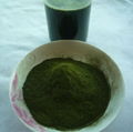 Wheat Grass Juice Powder For Food Additive Organic Wheat Grass Powder