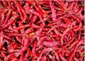 Dried Chili Hot Pepper Red Chili