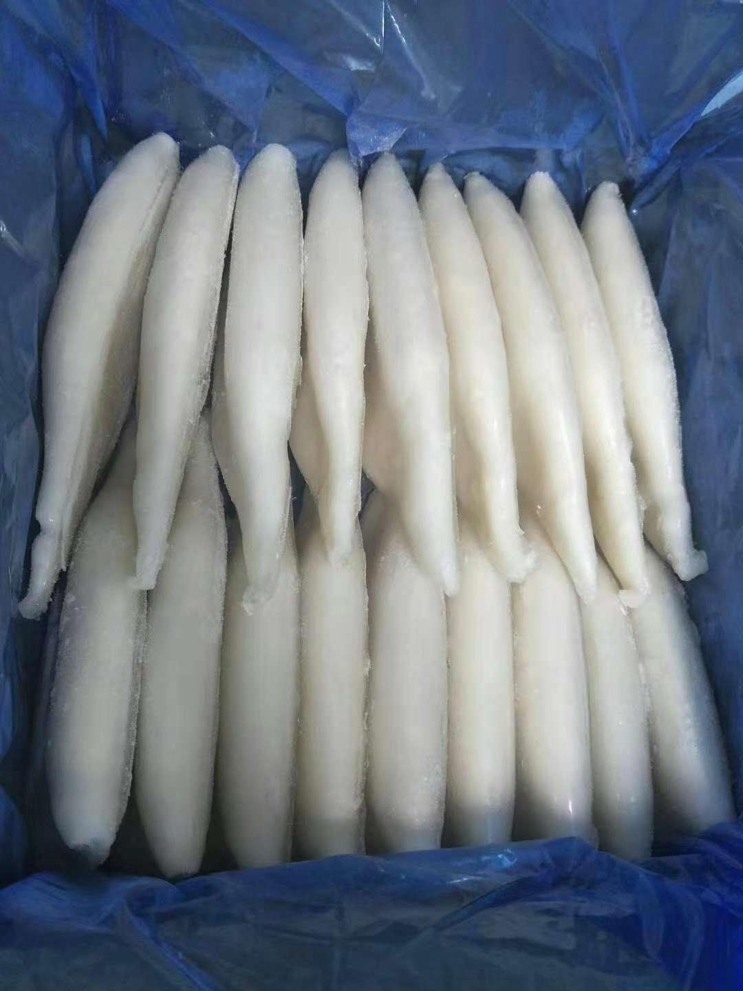 Frozen Cut Squid Frozen Squid Tube 3