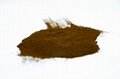 Natural salt alga extract/dunaliella salina extract powder 3