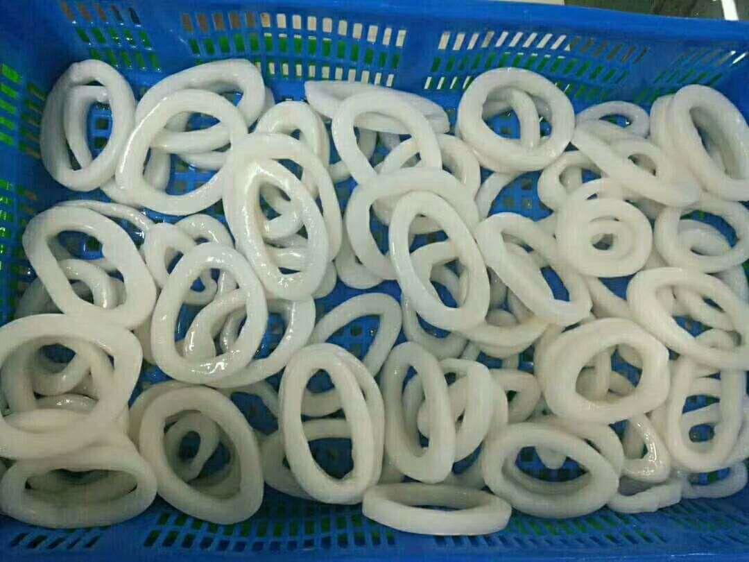 Frozen squid ring for sale  3