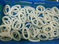 Frozen squid ring for sale 