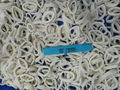 Frozen squid ring for sale 