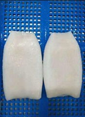 Good price frozen squid product