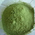 Organic barley juice green powder 4