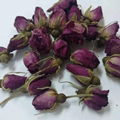 Rosebud Flower Tea Rose Dried Tea Rosehip 1