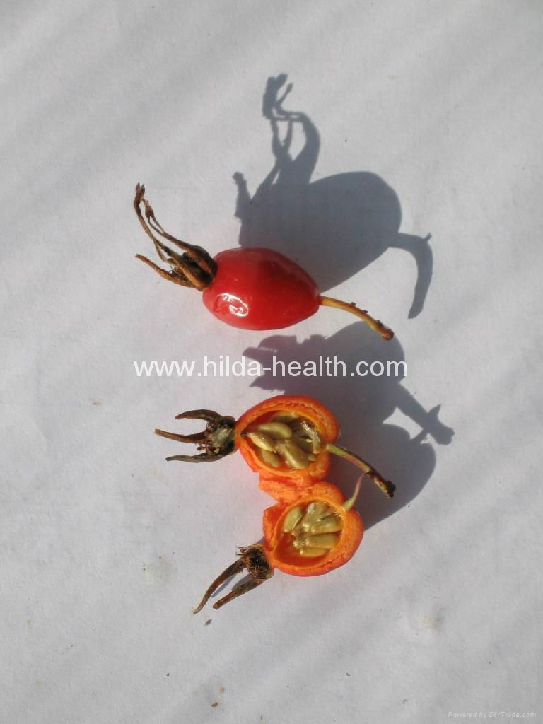 Rosehip dried fruits