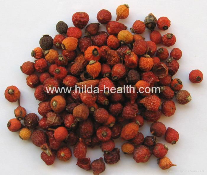 Rosehip dried fruits 2