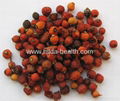 Rosehip dried fruits 2