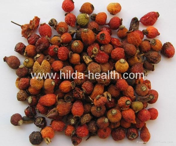 Rosehip dried fruits 3