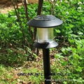 Solar Lawn Light