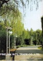 Solar Garden Light 1