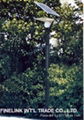 Solar Garden Light 2