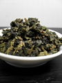 Jin Xuan Oolong TEA 1