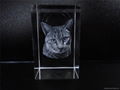 3D portrait engraved crystal  2