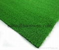 Artificial Grass For Golf Court