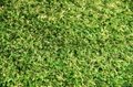 Artificial lawn for football