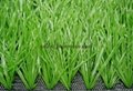 Football Synthetic grass 1
