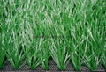 Football Synthetic grass 2