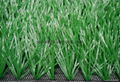 Football Synthetic grass