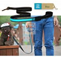 Solar+USB Charging Pet Led Collar leashed ,solar dog collar leashes