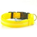 2.5cm LED Dog Nylon Collar Safety necklace Flashing Lighting Up Collar