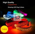 Night Safety Warning Light LED Dog Collar-Usb Charging