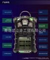 梅思安天鹰4X便携式四合一多种气体检测仪 3