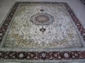 Persian carpet 016