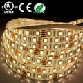 UL Certification 5050 Decoration LED Flexible Strip 2