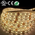 UL Certification 5050 Decoration LED Flexible Strip